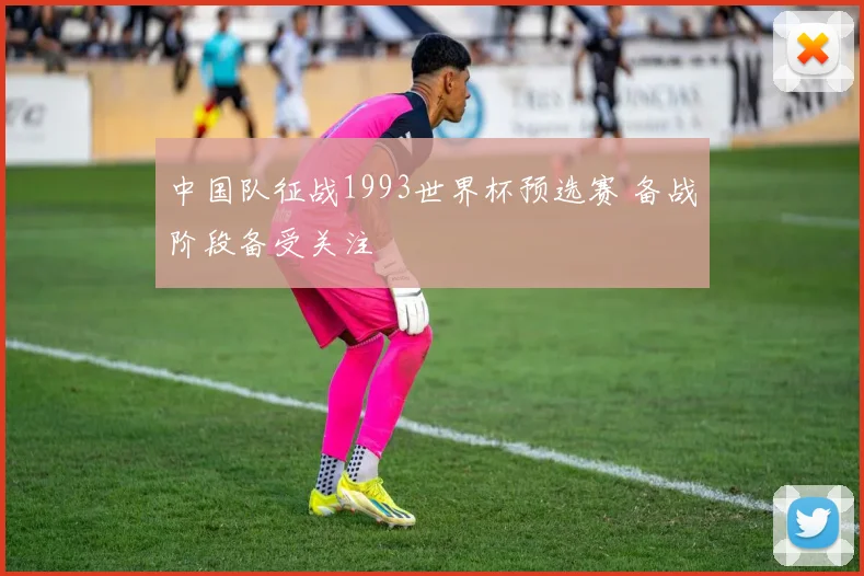 中国队征战1993世界杯预选赛 备战阶段备受关注