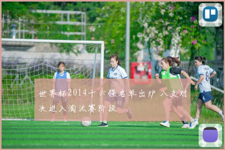 世界杯2014十六强名单出炉 八支对决进入淘汰赛阶段