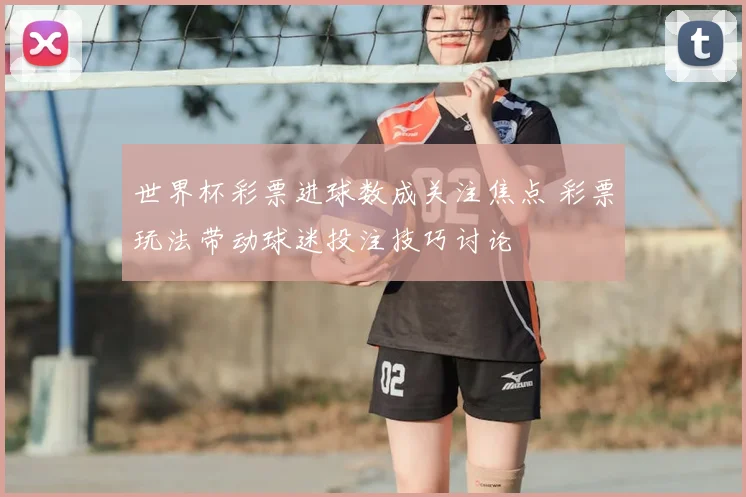 世界杯彩票进球数成关注焦点 彩票玩法带动球迷投注技巧讨论