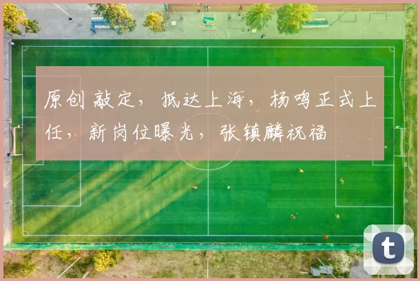 原创 敲定，抵达上海，杨鸣正式上任，新岗位曝光，张镇麟祝福